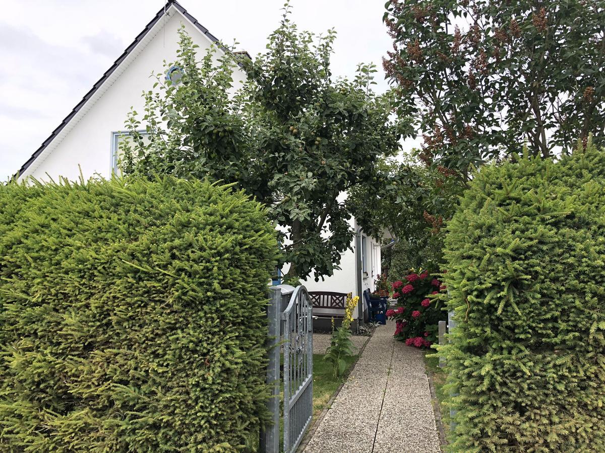 Ferienwohnung Mit Garten ويك المظهر الخارجي الصورة